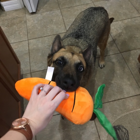 Meet your Posher, Ariel - Picture 5 of 8